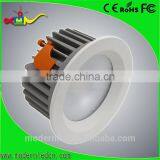 5 Inch 20w Waterproof COB Led Down Light