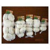 Good Quality Fresh Normal White Garlic thumbnail-1