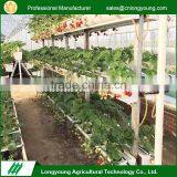 Fashion custom greenhouse plants growing hydroponic systems indoor