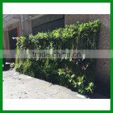 FO-GW018 Outdoor Green Plant Wall for Decor thumbnail-1