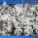 Frozen Baby Octopus in Ball Shape thumbnail-2