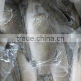 Frozen Food Asian Sea Bass thumbnail-1