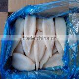 Frozen Squid Tube U5 U7 U10 thumbnail-2