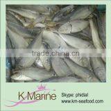 Frozen Pacific Horse Mackerel Whole Round thumbnail-1