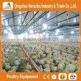 Heracles Design Complete Poultry Chicken Farm Equipment for Broiler and Breeders thumbnail-4