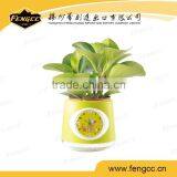 2016 Plant Eco Friendly Clock for Office Desktop Decorative thumbnail-3