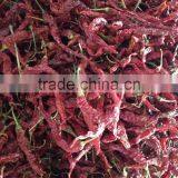 Byadgi red chilli