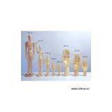 Sell Manikin and Hand thumbnail-1
