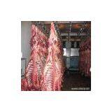 Sell Chilled or Frozen Halal Beef Meat thumbnail-1