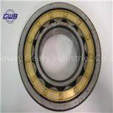 NU305 NJ305 N305 in Cylindrical Roller Bearing