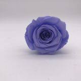 Preserved Flowers for Party Decoration thumbnail-4