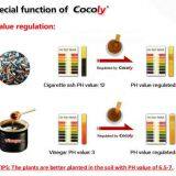 Lowest Price Agriculture Cocoly NPK 15-3-5 100% Water Soluble Fertilizer thumbnail-5