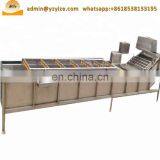 Bubble Type Fruit and Vegetable Washing Machine , Clean Vegetable Processing Line thumbnail-2