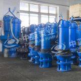 Pitshaft Axial- Flow Pump thumbnail-3