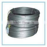 Wire Rod(hot Selling) thumbnail-2