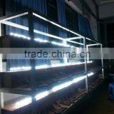 Hot Selling, Best Seller, High Quality,Xenon Bulb, Xenon Lamp D2S 12V 35W thumbnail-4