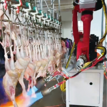 Automatic Gas-fired Bird Hair Removal Station For Poultry,Hog,Cattle Slaughtering House