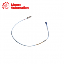 BENTLY NEVADA RS900106-05-30-05-02-00