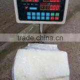 Frozen Peru Giant Squid thumbnail-1