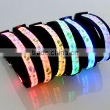 LED dog collar multi color CE/Rohs