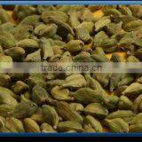 Cardamom thumbnail-1