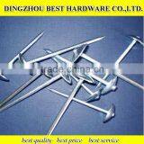 GI Roofing Nail Galvanized Roofing Nail thumbnail-6