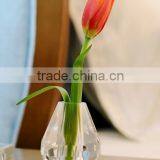 Modern Crystal Vase for Home Decoration