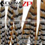 ZPDECOR Wholesale Top Selling Raw 45-50cm Size Reeves Venery Pheasant Tail Feathers for Decorations thumbnail-3