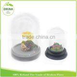 Bulk Buy From China Butterfly , Tillandsia Plants , Miniature Fairy Garden in 30cm Dome Clear Figurine Display Glass Cloche thumbnail-2