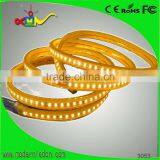 220v 230v Smd 5050 Swimming Pool Led Strip Lighting