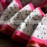 TROPICAL FRUIT thumbnail-1