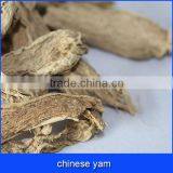 Chinese Yam