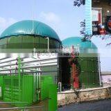 Hot Sale Farm Waste Biogas Cogeneration Power Plant/ Bio Gas Storage Bag/ Biogas Holder/Biomass Bag thumbnail-1