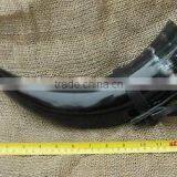 Drinking Horn thumbnail-1