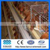 Hot Sale Good Quality Layer Chicken Cage For Poultry Farm thumbnail-1