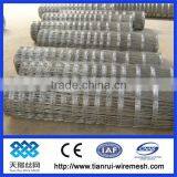 Stocking Fence /Cattle Field Fence /Grassland Fence