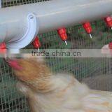 Farming Poultry Automatic Feeding System for Poultry Farming Equipment Auto. Feeding Pan System thumbnail-5