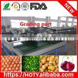 Potato Grading Machine/ Pear Fruit Washing Drying Waxing Grading Machine thumbnail-1