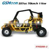 250cc EEC/EPA Racing Kart thumbnail-5