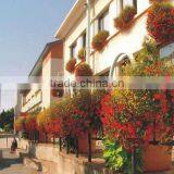 Window Decorative thumbnail-1