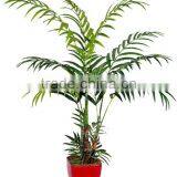 Brand Name Decorative Artificial Bonsai Tree Artificial Areca Palm thumbnail-6