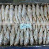 Frozen Yellow Croaker thumbnail-2