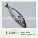 Seafood Frozen Mackerel Fish thumbnail-1