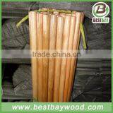 Wooden Broom Stick for Sale Pvc Coated Chinese Broom Stick thumbnail-6