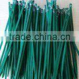 Dyed Bamboo Sticks for Supporting Tomato thumbnail-3