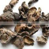 Amla Extract thumbnail-3