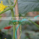 2.6mm x 15cm Green Pvc Plastic Plant Twist Tie for Gardening thumbnail-6