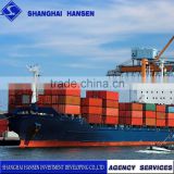 Shanghai Professional Import Export Agent