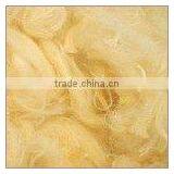 Soybean Fibre and Tops thumbnail-1