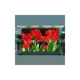 P5 SMD Indoor Full Color Display